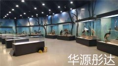 俯視柜