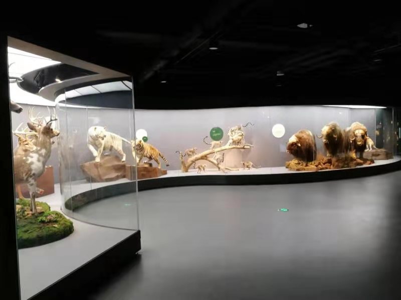 博物館弧形展柜